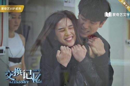 交换记忆,揭秘人类记忆的神秘力量