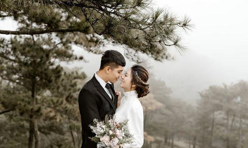 姐夫的独宠,姐夫的深情独宠之旅